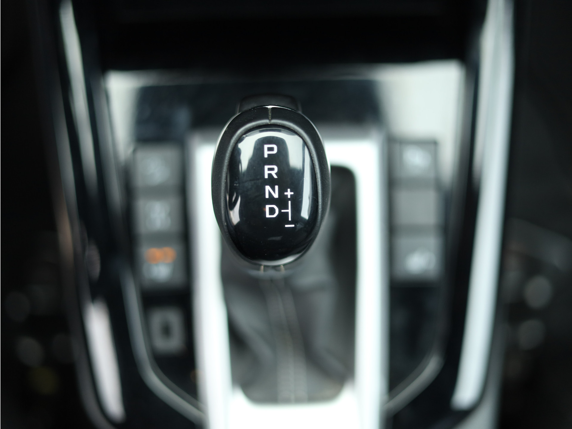 44243062-28.jpg