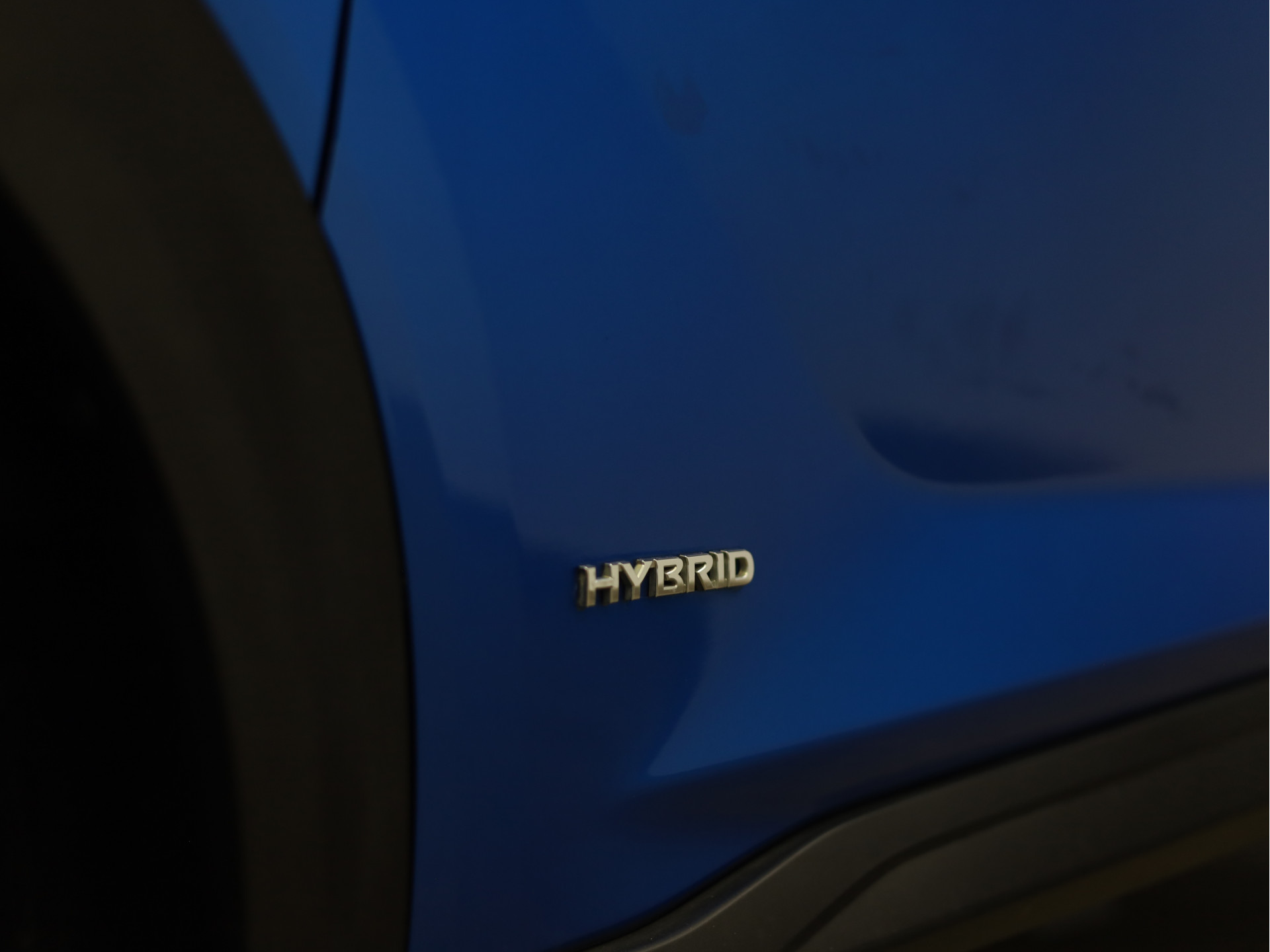 47374099-31.jpg